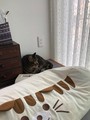 20190708153314