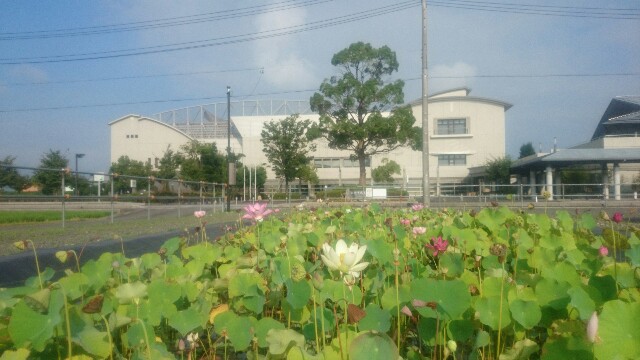 f:id:you_key69:20160806110624j:image f:id:you_key69:20160806110624j:image