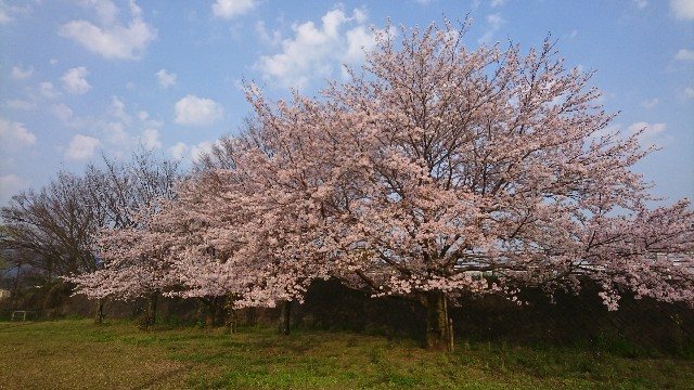 f:id:you_key69:20170414072817j:plain f:id:you_key69:20170414072817j:plain