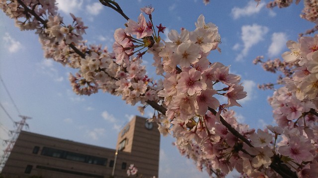 f:id:you_key69:20170414072835j:plain f:id:you_key69:20170414072835j:plain