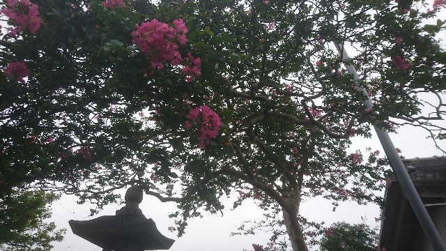 f:id:you_key69:20170813232959j:plain