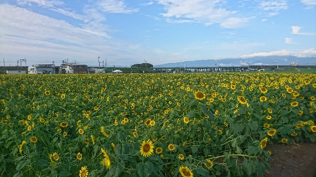 f:id:you_key69:20170821224404j:plain