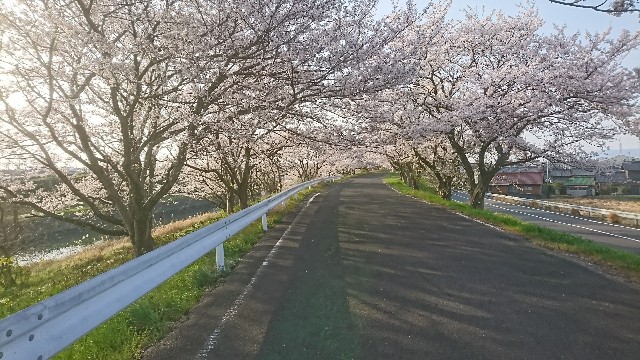 f:id:you_key69:20180331222517j:plain