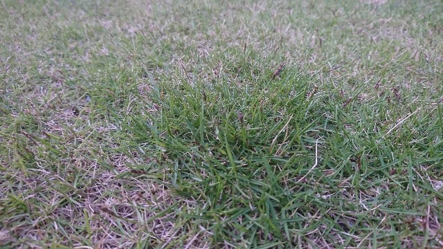 f:id:you_key69:20180513235539j:plain f:id:you_key69:20180513235539j:plain