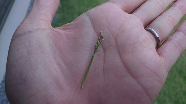 f:id:you_key69:20180513235553j:plain f:id:you_key69:20180513235553j:plain