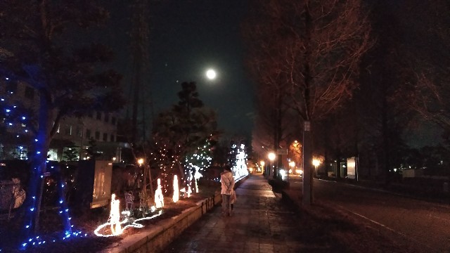 f:id:you_key69:20181231175007j:image