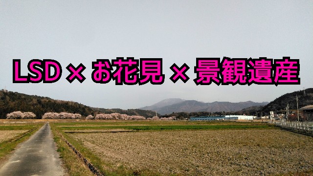 f:id:you_key69:20190408230846j:plain f:id:you_key69:20190408230846j:plain