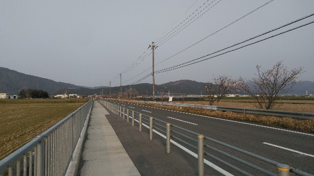 f:id:you_key69:20190408231206j:plain f:id:you_key69:20190408231206j:plain