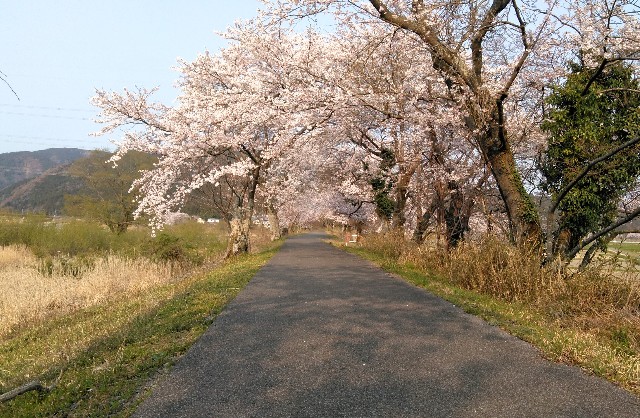 f:id:you_key69:20190408232049j:plain f:id:you_key69:20190408232049j:plain