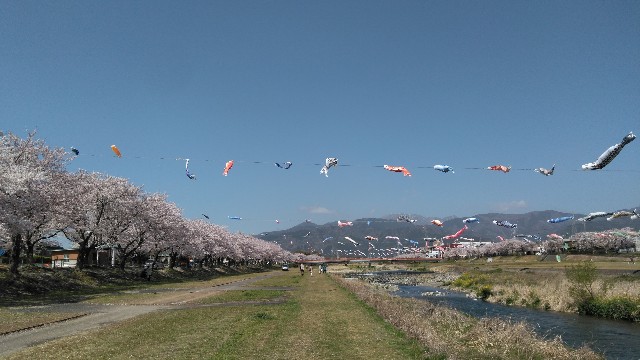 f:id:you_key69:20190412231704j:plain