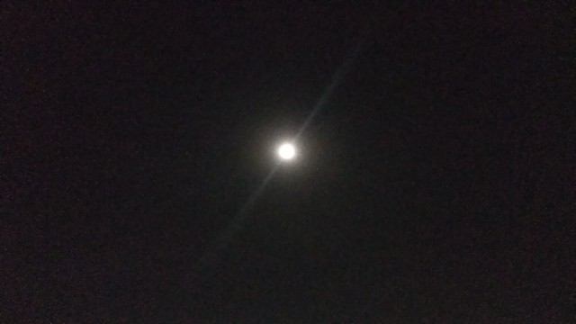 f:id:you_key69:20190420213329j:plain