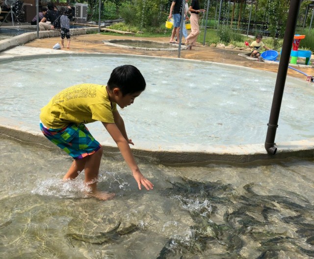 f:id:you_key69:20190903221603j:plain