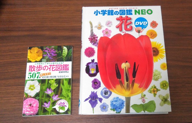 f:id:you_key69:20200329232520j:plain