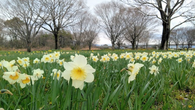 f:id:you_key69:20200329233115j:plain