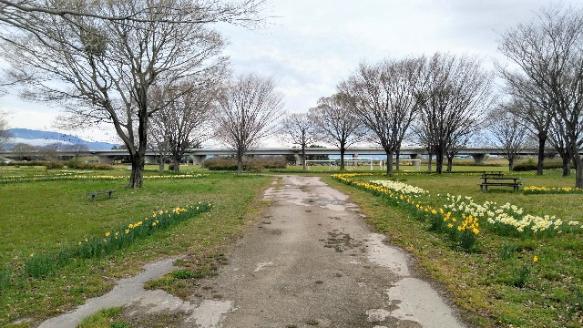 f:id:you_key69:20200329233130j:plain