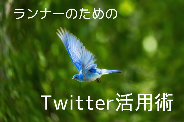 f:id:you_key69:20200513224042j:plain