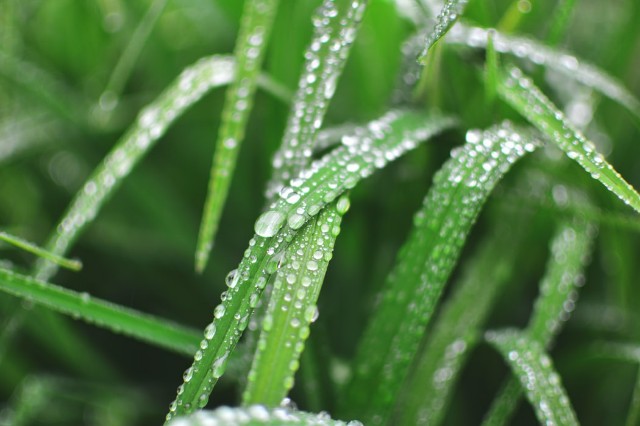 f:id:you_key69:20200613222134j:plain