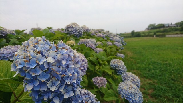 f:id:you_key69:20200624213436j:plain
