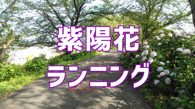 f:id:you_key69:20200624214940j:plain