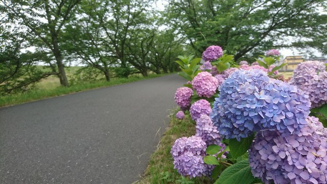 f:id:you_key69:20200624220044j:plain