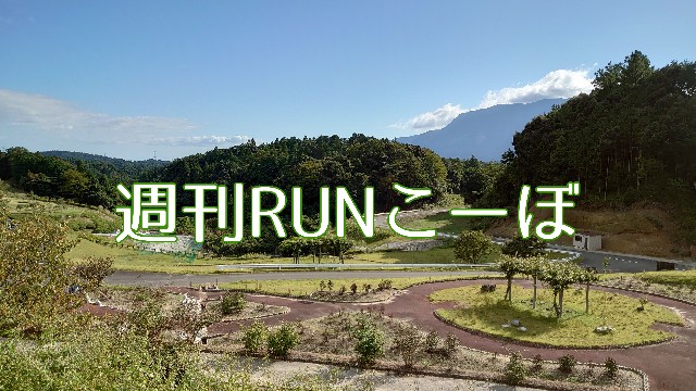 f:id:you_key69:20201012214638j:plain f:id:you_key69:20201012214638j:plain