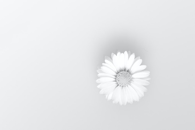 f:id:you_key69:20201229220445j:plain