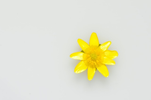 f:id:you_key69:20201229220548j:plain