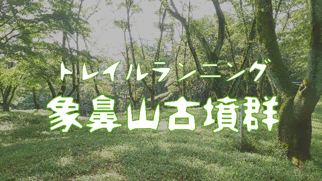 f:id:you_key69:20210522230202j:plain