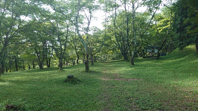 f:id:you_key69:20210522230339j:plain