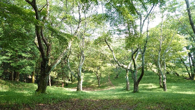 f:id:you_key69:20210522230824j:plain