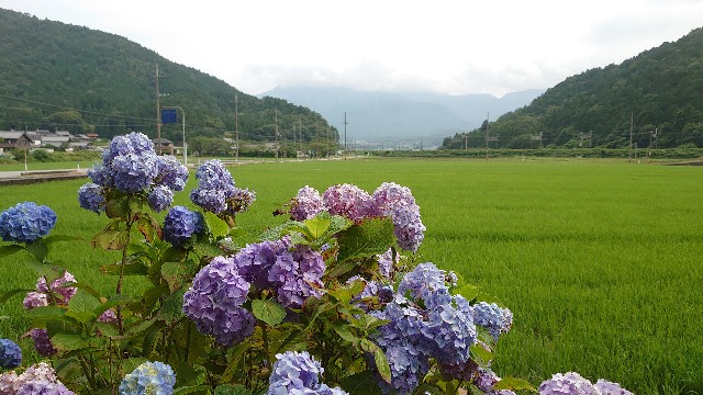 f:id:you_key69:20210627002436j:plain