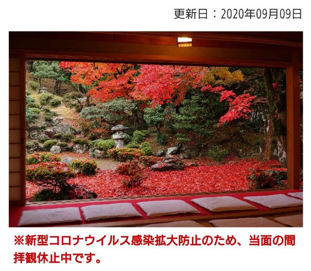 f:id:you_key69:20210627002637j:plain
