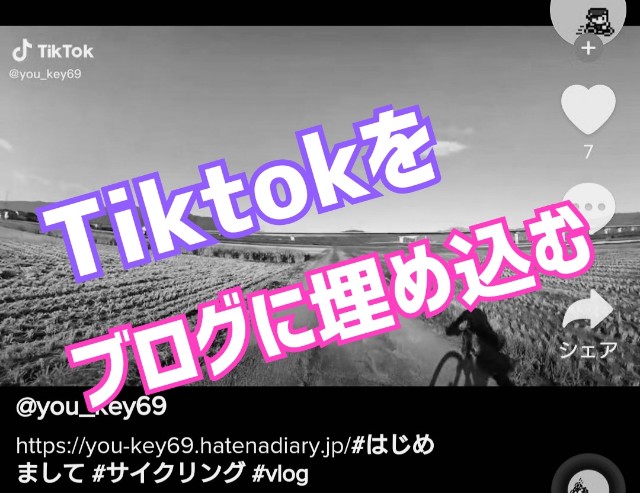 f:id:you_key69:20220116113130j:plain
