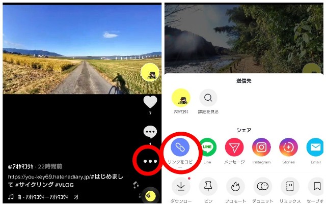 f:id:you_key69:20220116224633j:plain