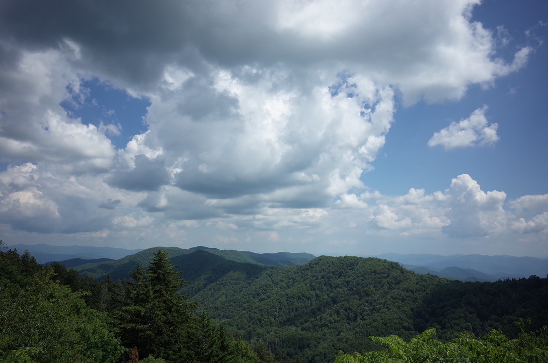 f:id:youandme1231:20190705232735j:plain f:id:youandme1231:20190705232735j:plain