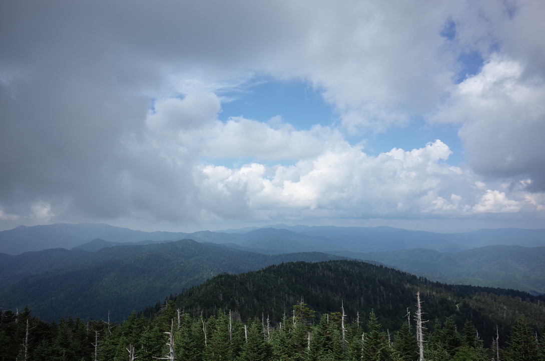 f:id:youandme1231:20190705233214j:plain f:id:youandme1231:20190705233214j:plain