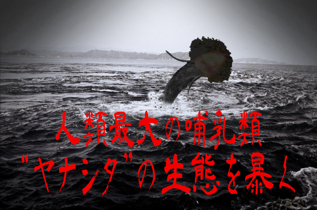 柳下さん死なないで