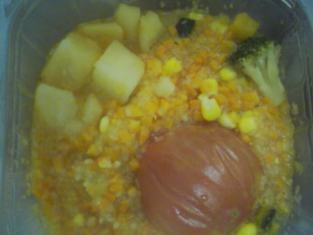 f:id:youichi:20101022230417j:image