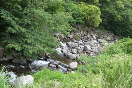 f:id:youichi:20130527013452j:image:w360