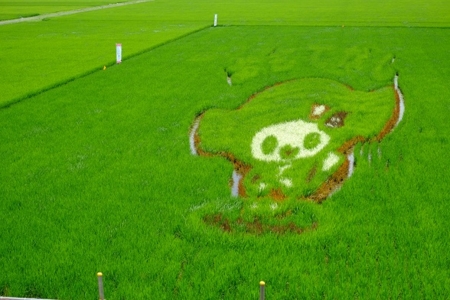 f:id:youichi:20140719001151j:image
