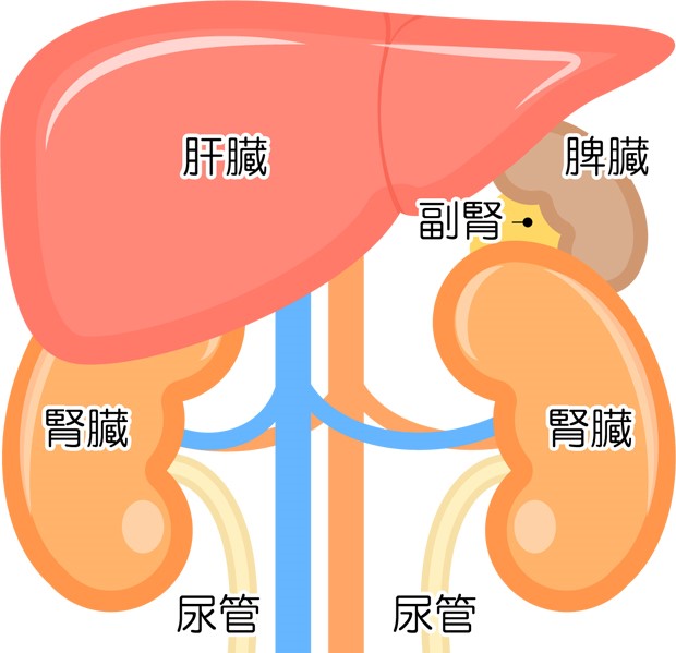 f:id:youichirou1129-1:20180323085926j:plain f:id:youichirou1129-1:20180323085926j:plain