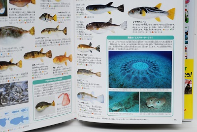 小学館の図鑑NEO 新版 魚」 - 大方洋二の魚って不思議! 小学館の図鑑NEO 新版 魚」 - 大方洋二の魚って不思議!