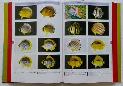 奄美群島の魚類図鑑 Books Kinokuniya: 奄美群島の魚類図鑑 / 本村浩之 萩原清司