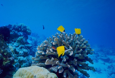 f:id:youjiuo:20200111144013j:plain