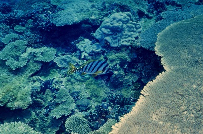 f:id:youjiuo:20201003174353j:plain