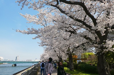 f:id:youjiuo:20210327205651j:plain