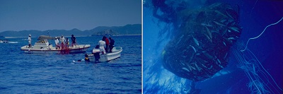 f:id:youjiuo:20210901172203j:plain