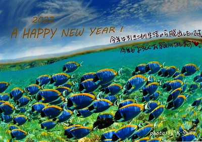 f:id:youjiuo:20220112204128j:plain