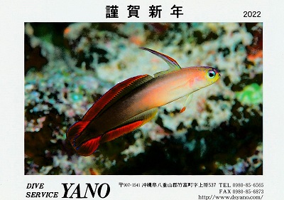 f:id:youjiuo:20220112204219j:plain