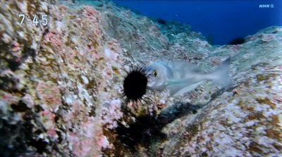 f:id:youjiuo:20220131140226j:plain